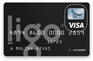 Ligo Tarjeta Recargable Visa O Mastercard