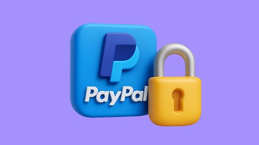 seguridad paypal